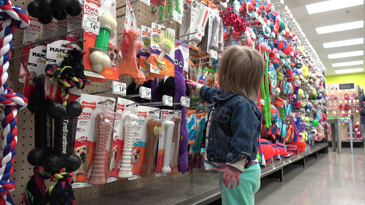 In a Denver, Colorado store aisle, a toddler in a denim jacket reaches toward colorful hanging pet toys and packaged chew items under bright fluorescent lights.