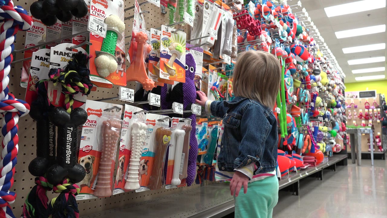 Toddler stands beside shelves of colorful pet toys.