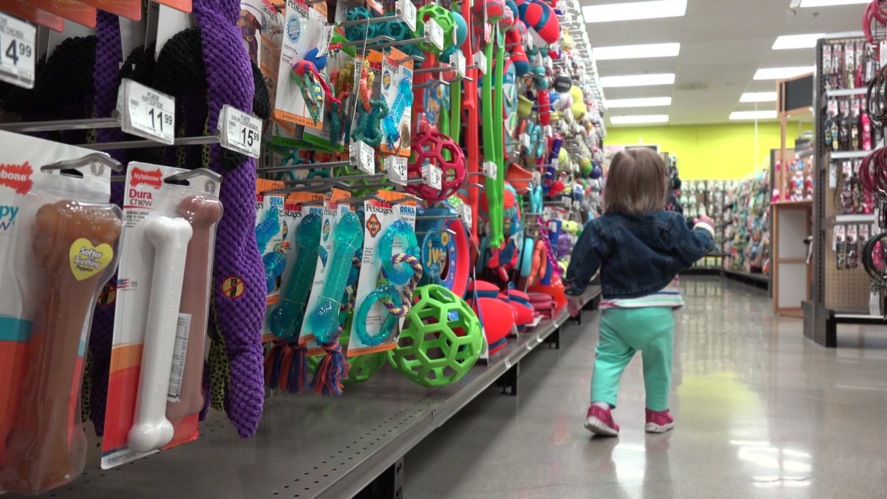 The child remains centered in the Denver store aisle as close foreground shelves show chew toys, ropes, balls, and hanging packages under fluorescent lights.