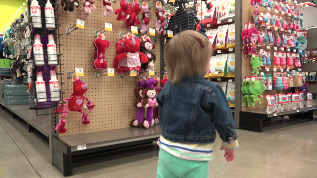 The toddler pauses with their back to the camera in front of hanging plush animals, red toys, and shelf displays inside the Denver retail aisle.