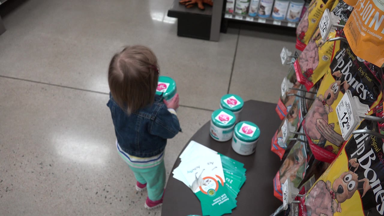 The child holds one teal-lidded container while standing close to a display of similar containers and hanging pet product bags in Denver, Colorado.