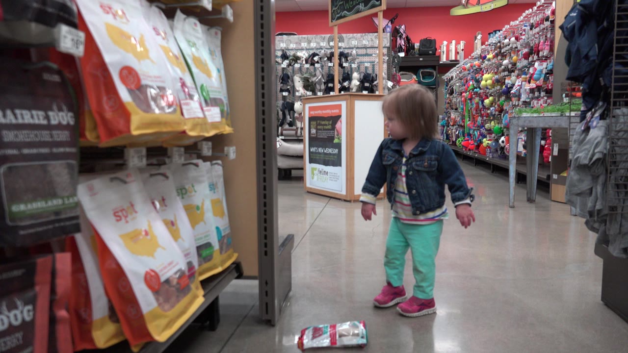 Toddler standing in a supermarket aisle near pet food bags.