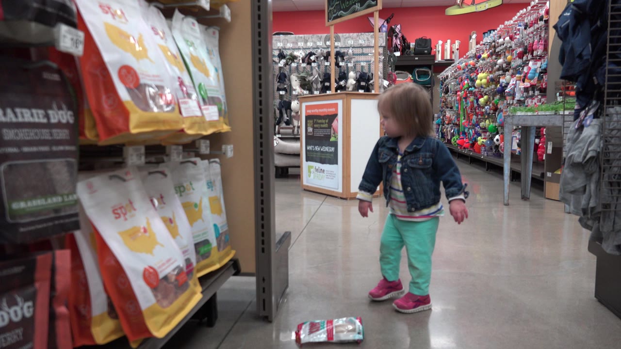 The Denver supermarket aisle frames the toddler from a low angle, with pet food bags close to camera and rows of colorful supplies in the background.
