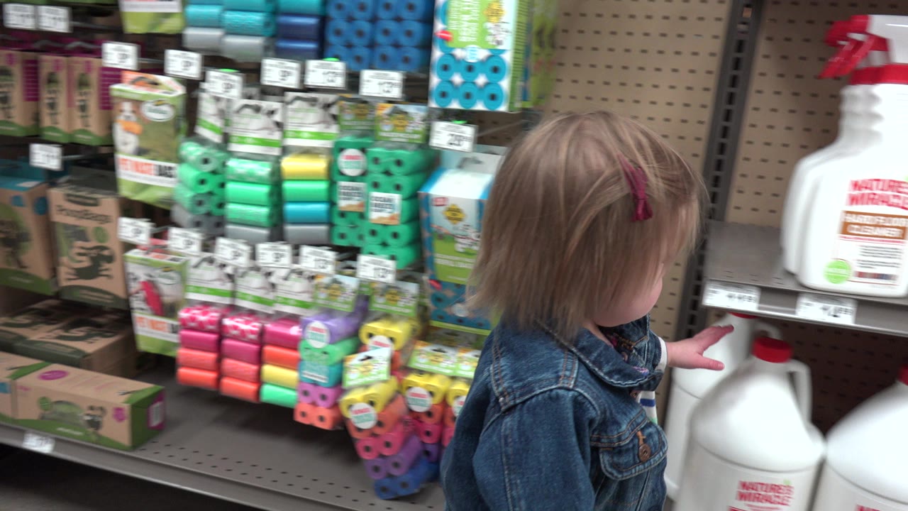 Small child beside store shelves with cleaning bottles and colorful pet toys.