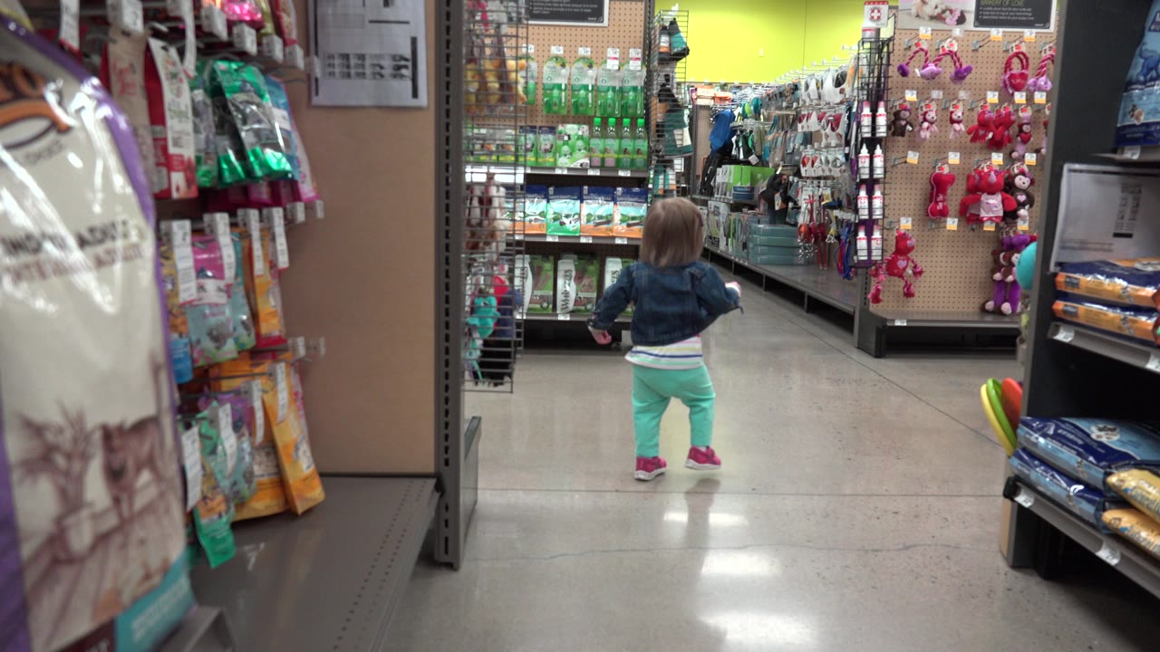 The toddler remains centered in the Denver store aisle, facing away while racks of colorful pet supplies and packaged goods fill both sides of the frame.