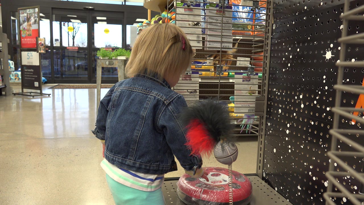 Small child seen from behind touching a store display.