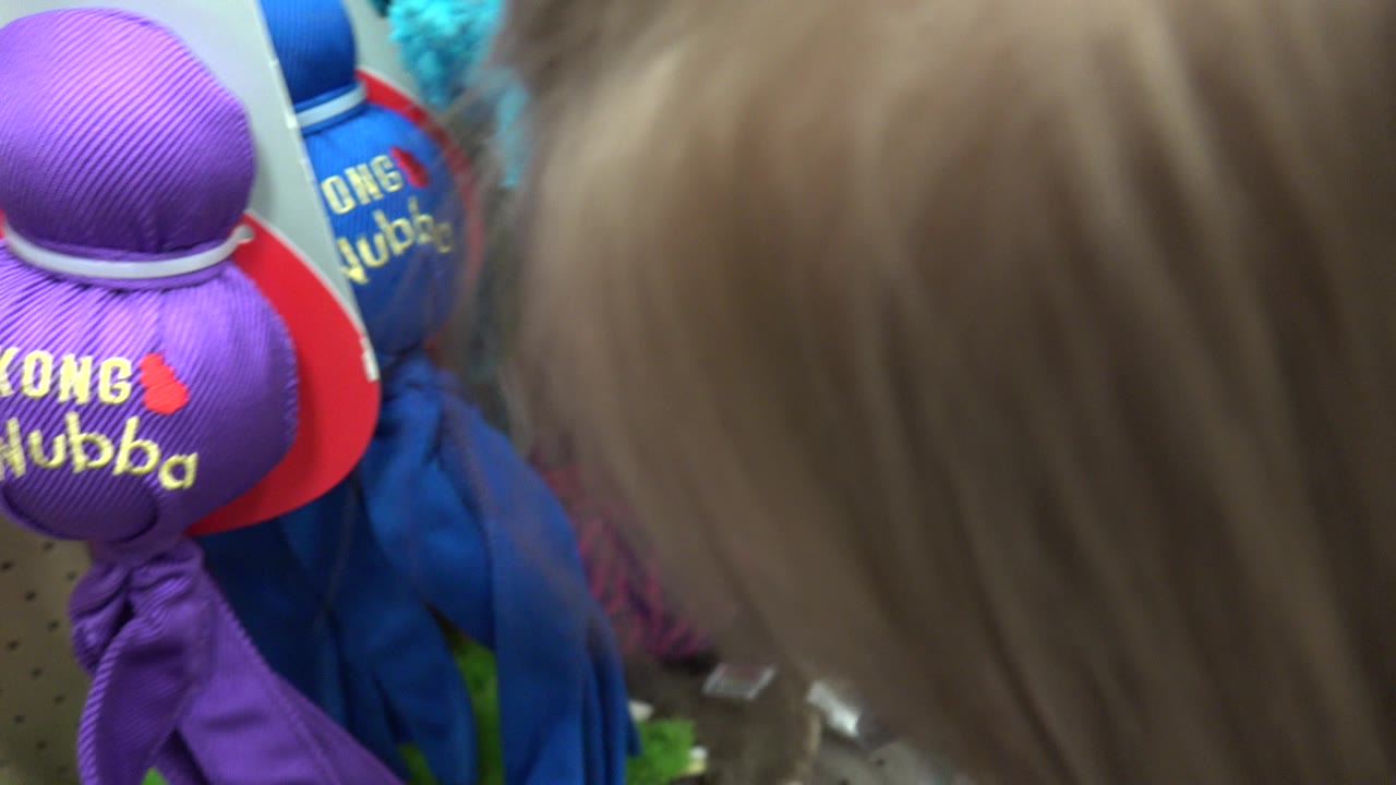 The child's head remains large in the right foreground as purple and blue Kong Wubba toys hang from a crowded Denver pet shop display.