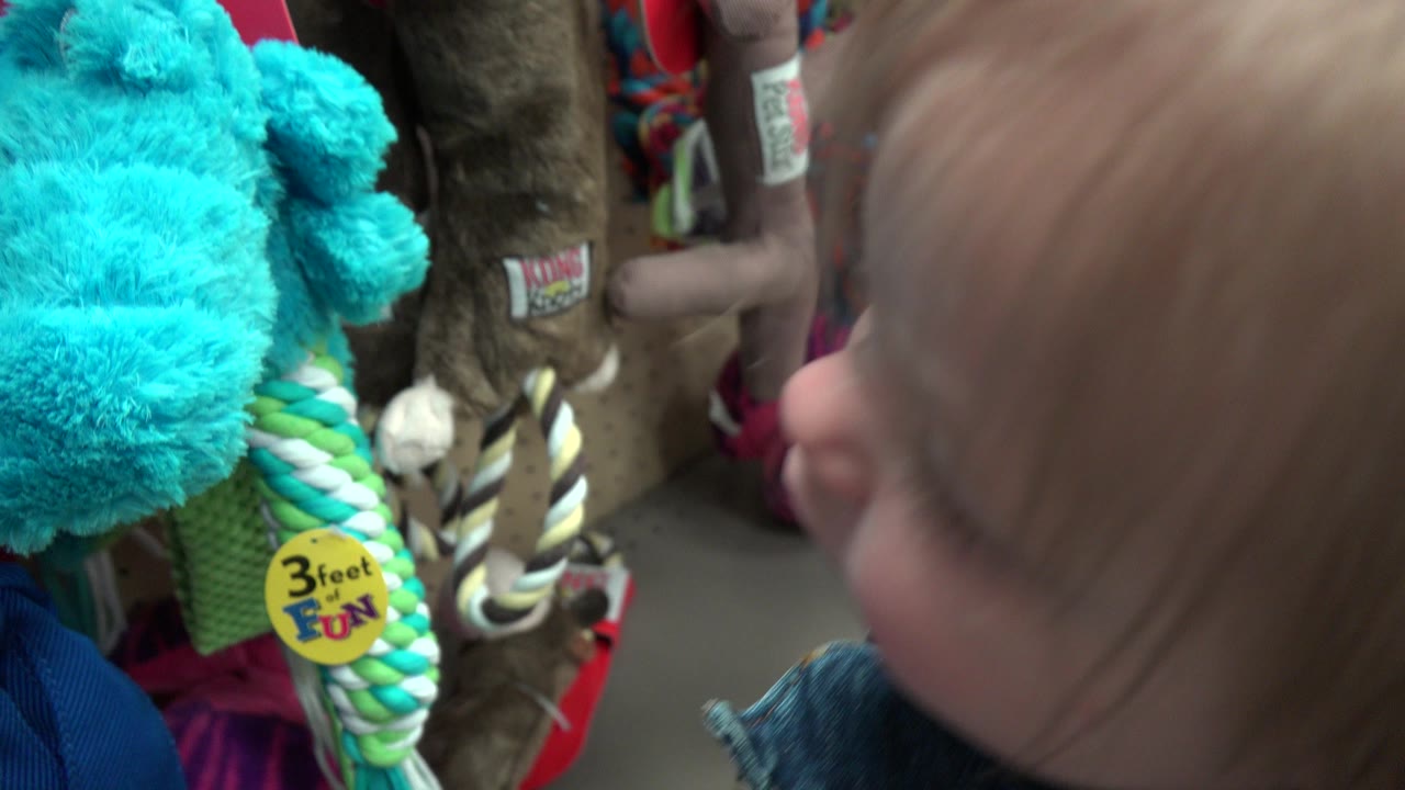 Toddler near colorful pet toys on a store shelf.
