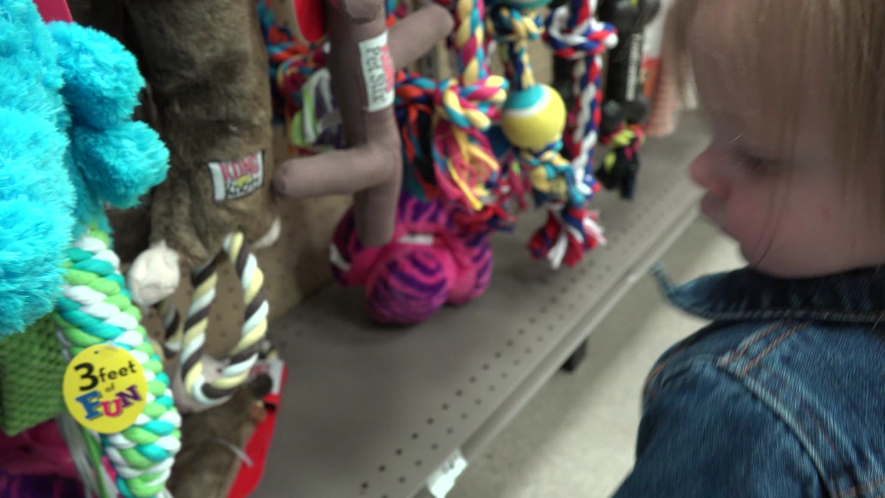 The toddler stands at the right side of a Denver, Colorado pet store aisle while colorful ropes, balls, and plush toys hang from the shelves.