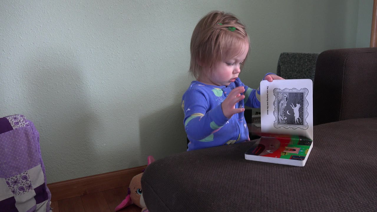 In Westminster, Colorado, the toddler holds the board book partly upright, with one illustrated page facing the camera and the child looking down at the spread.