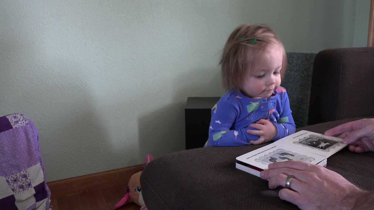 Toddler watches an open picture book held near a couch.