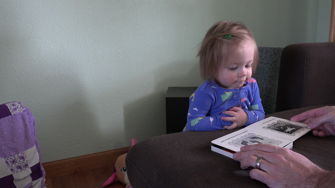 In Westminster, Colorado, a toddler looks down at an open picture book while an adult finger points to a page from the right side of frame.