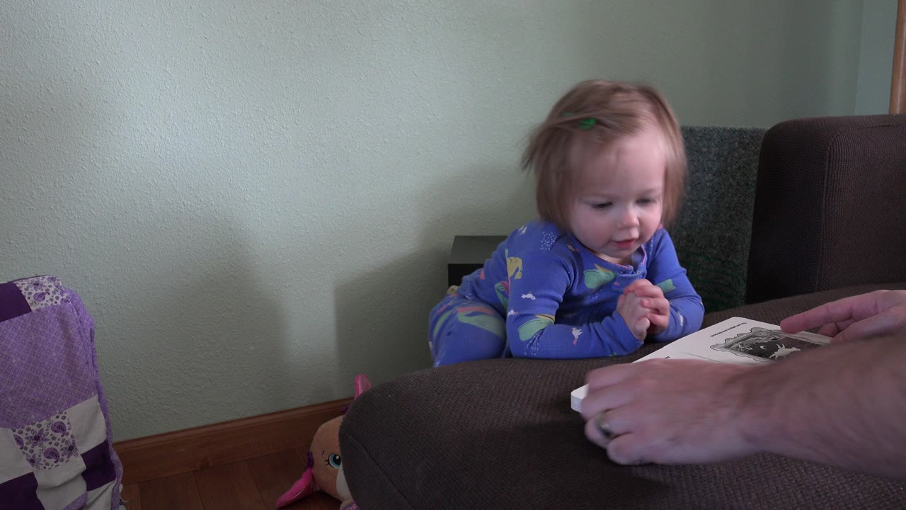 In Westminster, Colorado, a toddler in blue pajamas leans toward a board book held by an adult hand on a brown couch.