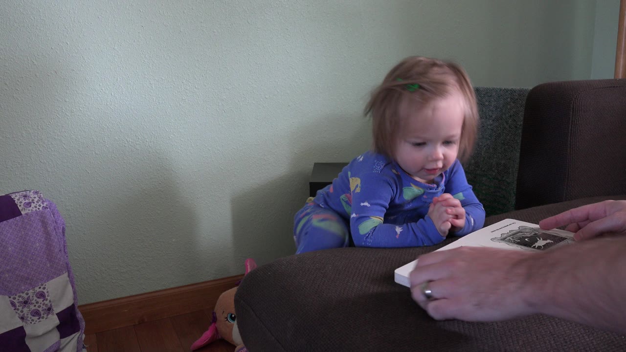 In Westminster, Colorado, the toddler keeps her hands together while looking at the board book as an adult hand rests near the page.