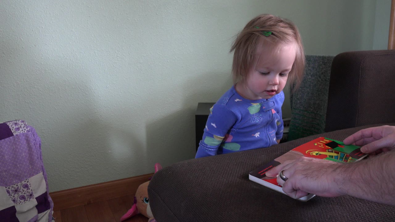 Baby watching an adult hand place a colorful picture book on a couch.