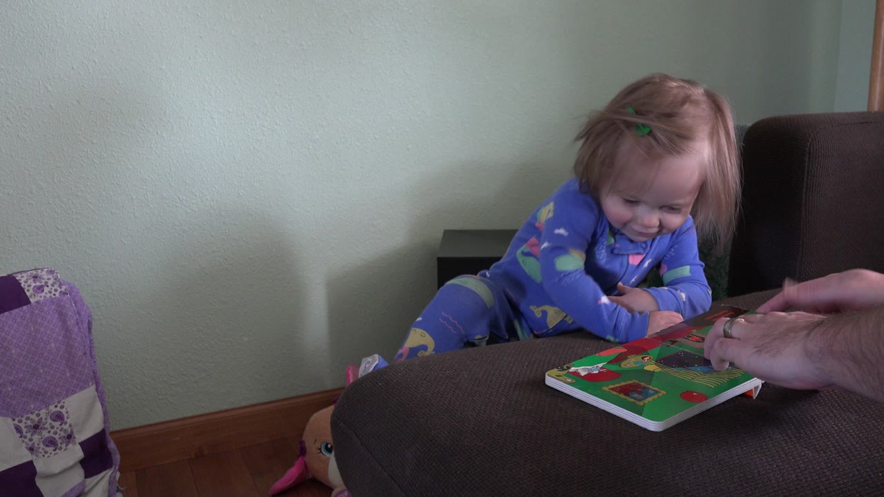 In Westminster, Colorado, the girl keeps her gaze on the board book as adult hands hover over the colorful page on the furniture surface.