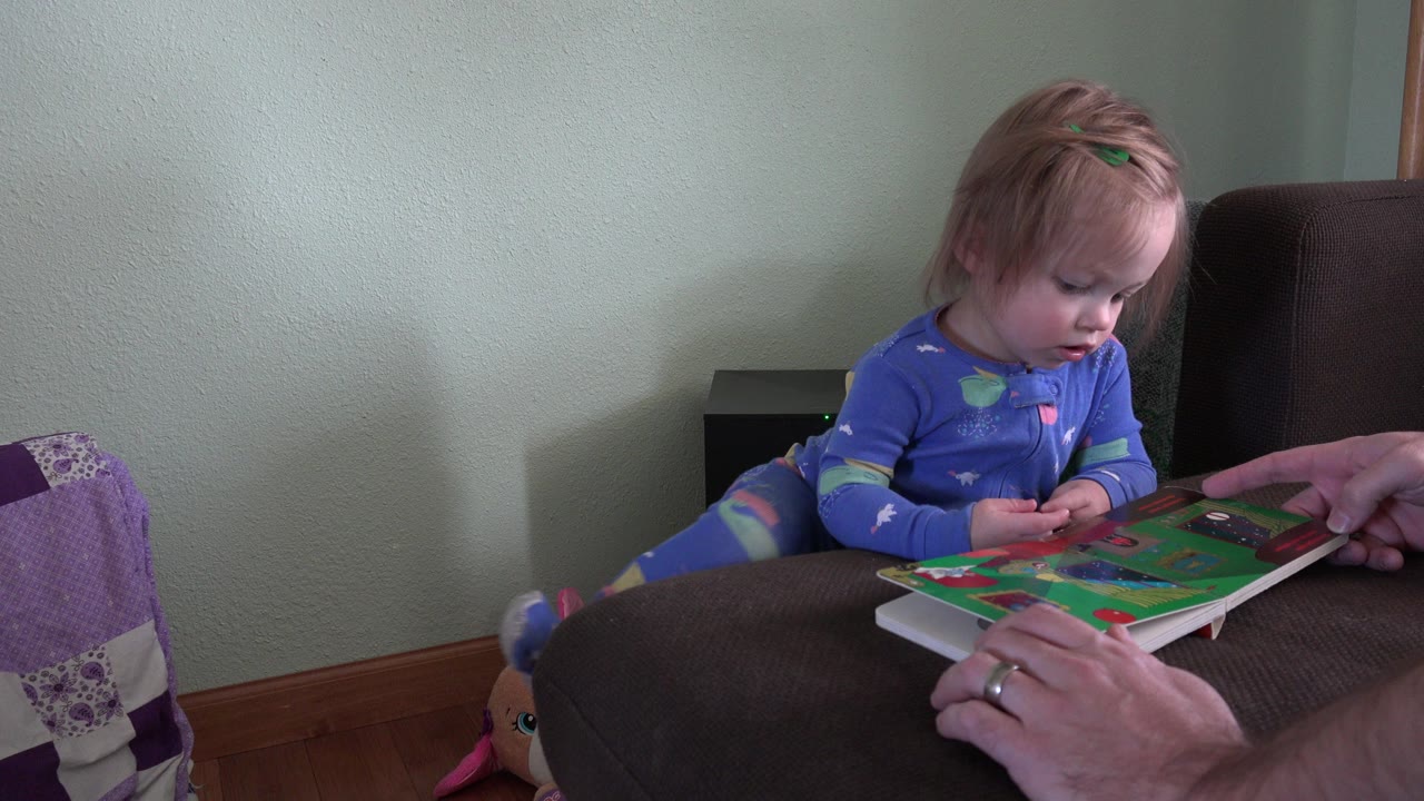 In Westminster, Colorado, a blonde toddler in purple pajamas leans toward a colorful picture book held on the arm of a dark chair while adult hands steady the pages.