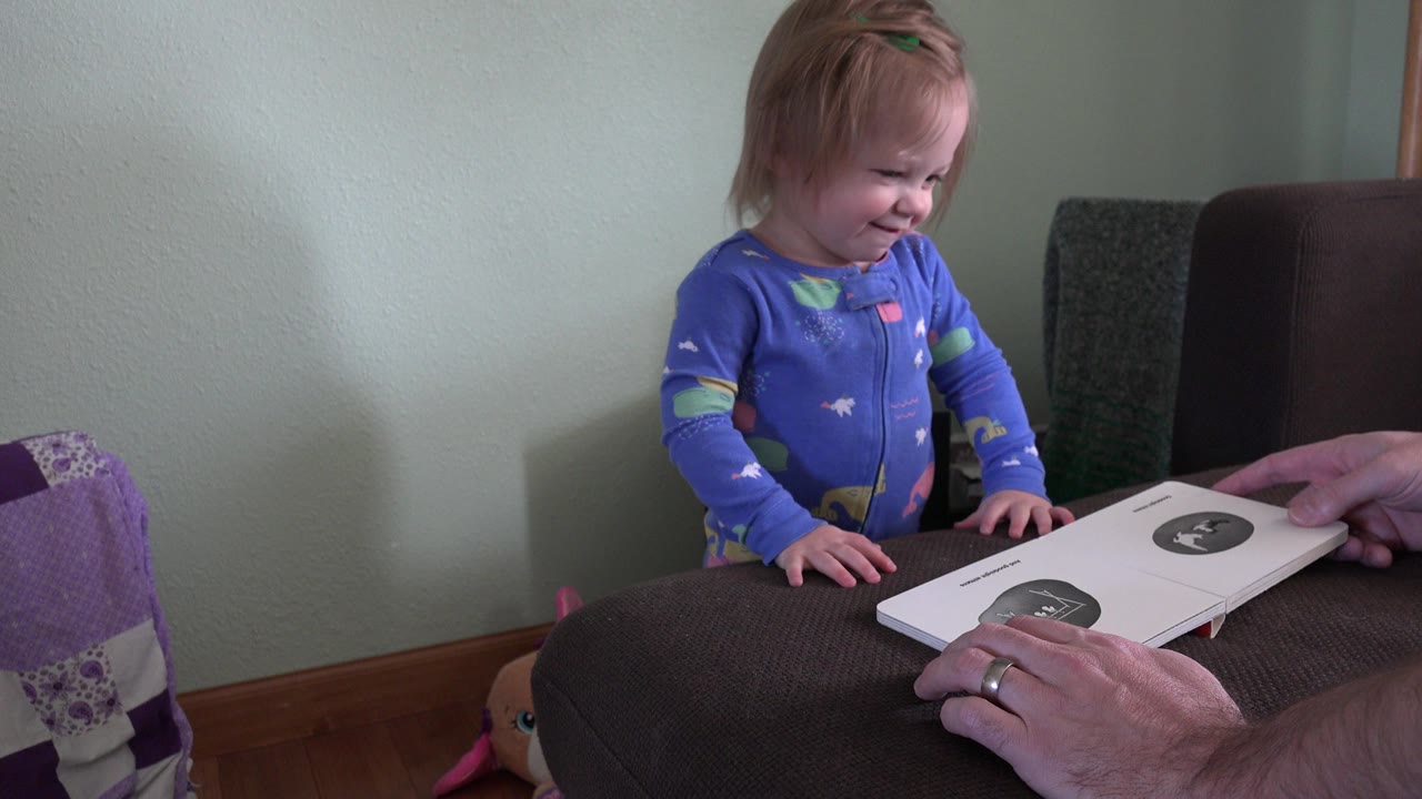 Toddler standing by a couch as adult hands hold a board book.