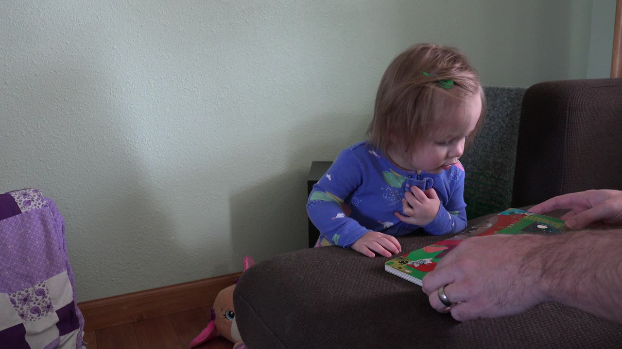 In Westminster, Colorado, a toddler in blue pajamas looks down at an illustrated book while an adult's hands hold it on a dark upholstered chair.