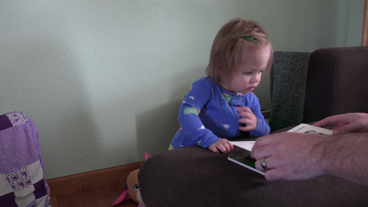 In Westminster, Colorado, the child looks down toward the open board book while an adult hand keeps it positioned on the chair arm.