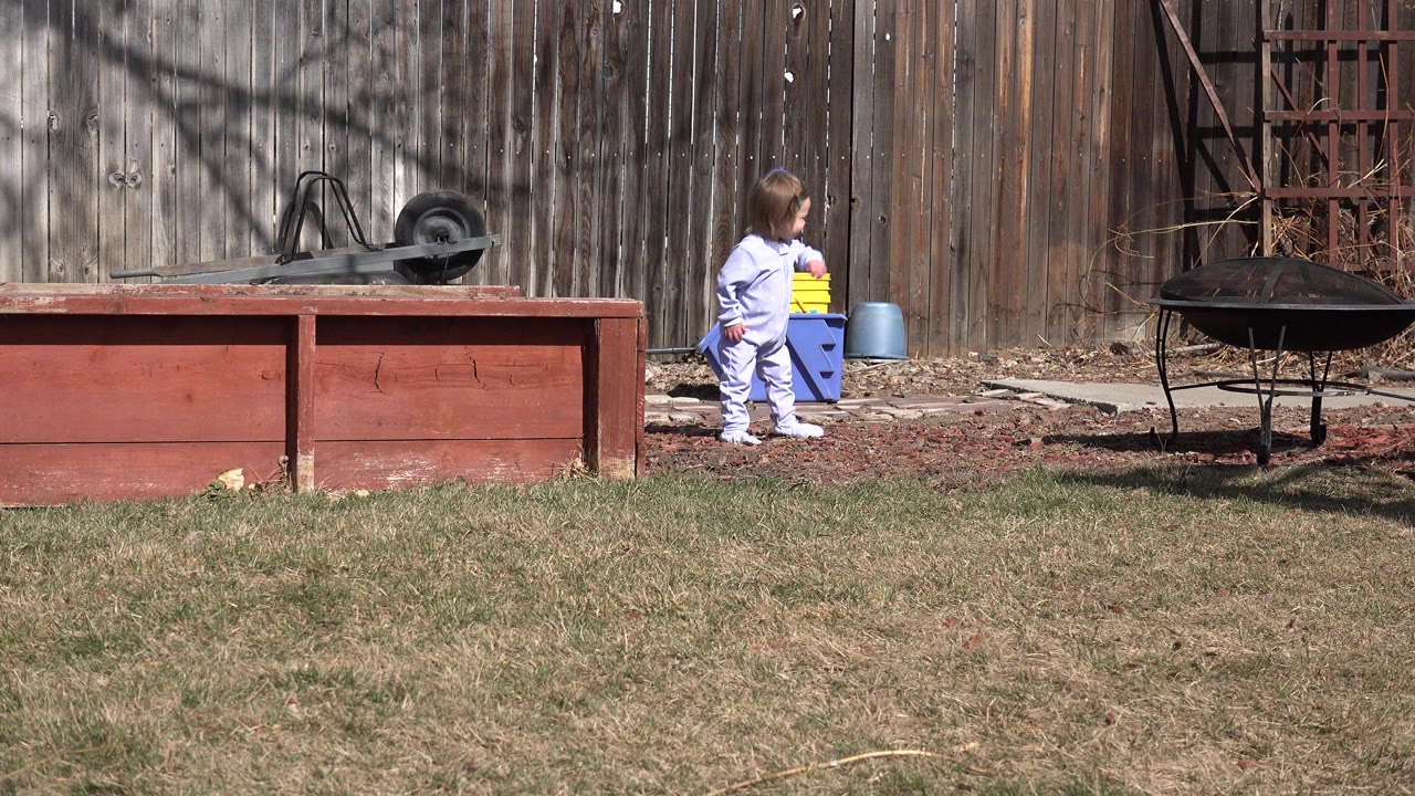 The toddler remains near the blue toy bin in the sunny Westminster backyard, facing toward the fence with the barbecue and red planter still visible.