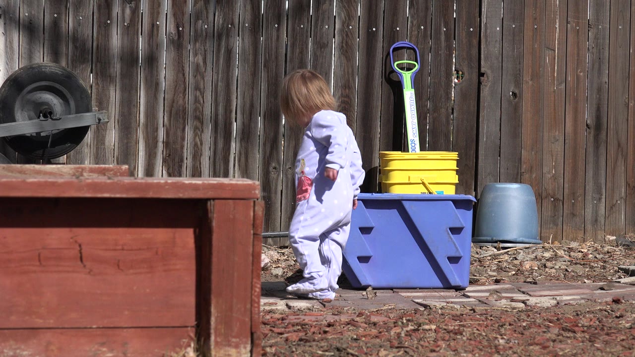 Toddler walking beside backyard play objects near a wooden fence.