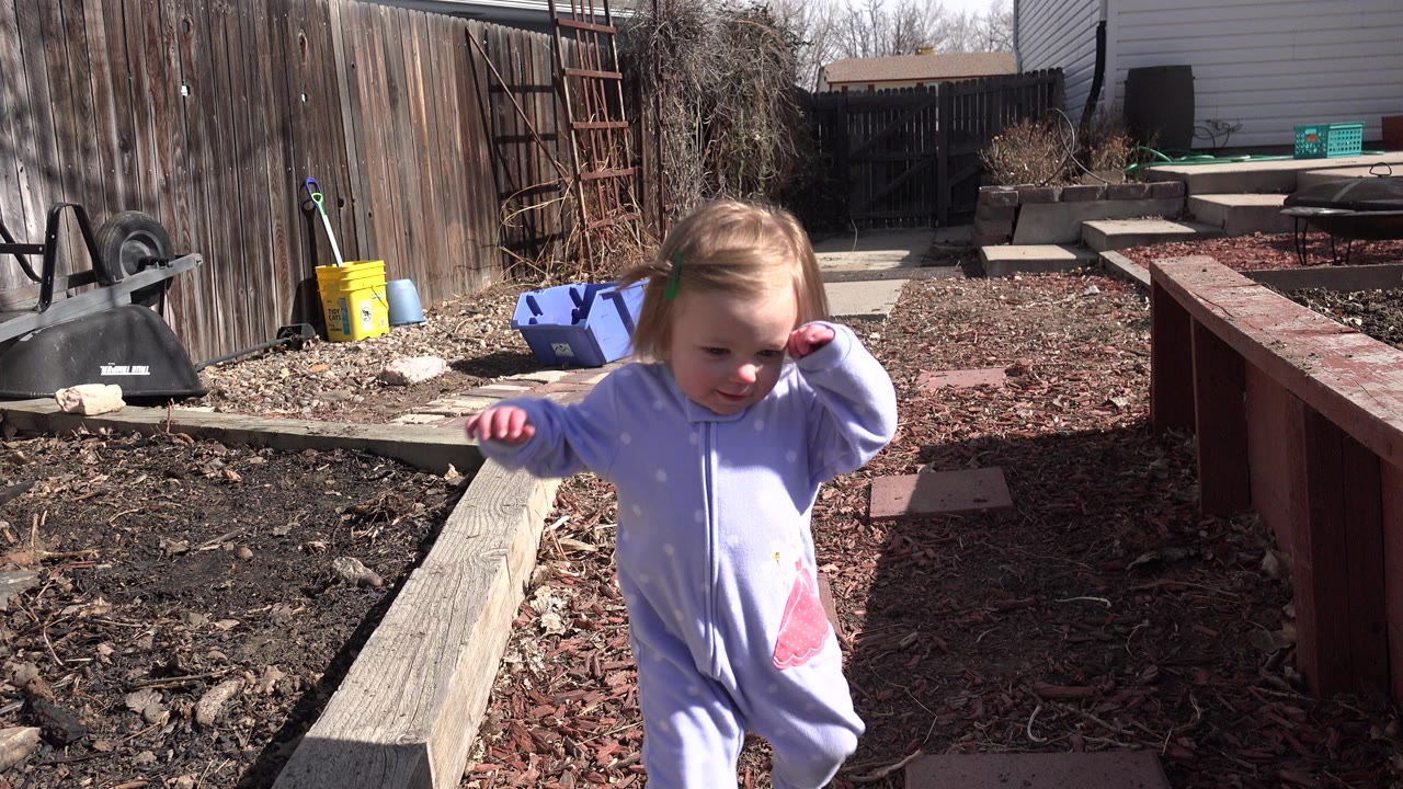 A young blonde girl in a light purple outfit walks beside wooden garden edging in a Westminster, Colorado backyard with a fence and yard tools behind her.