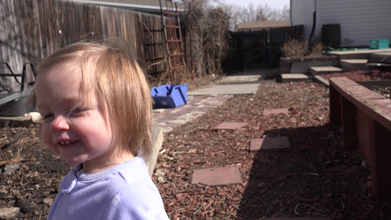 The toddler remains close to the lens in the Westminster, Colorado yard, with a wood fence, dark mulch, a bench-like border, and a blue container in the background.