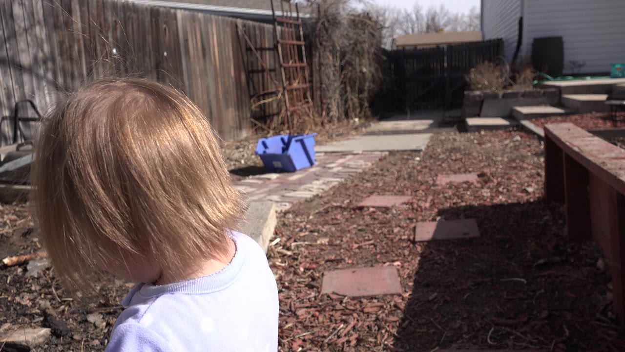The child turns away from the camera in the Westminster, Colorado backyard, showing blond hair and the back of a pale shirt beside mulch and a wood fence.