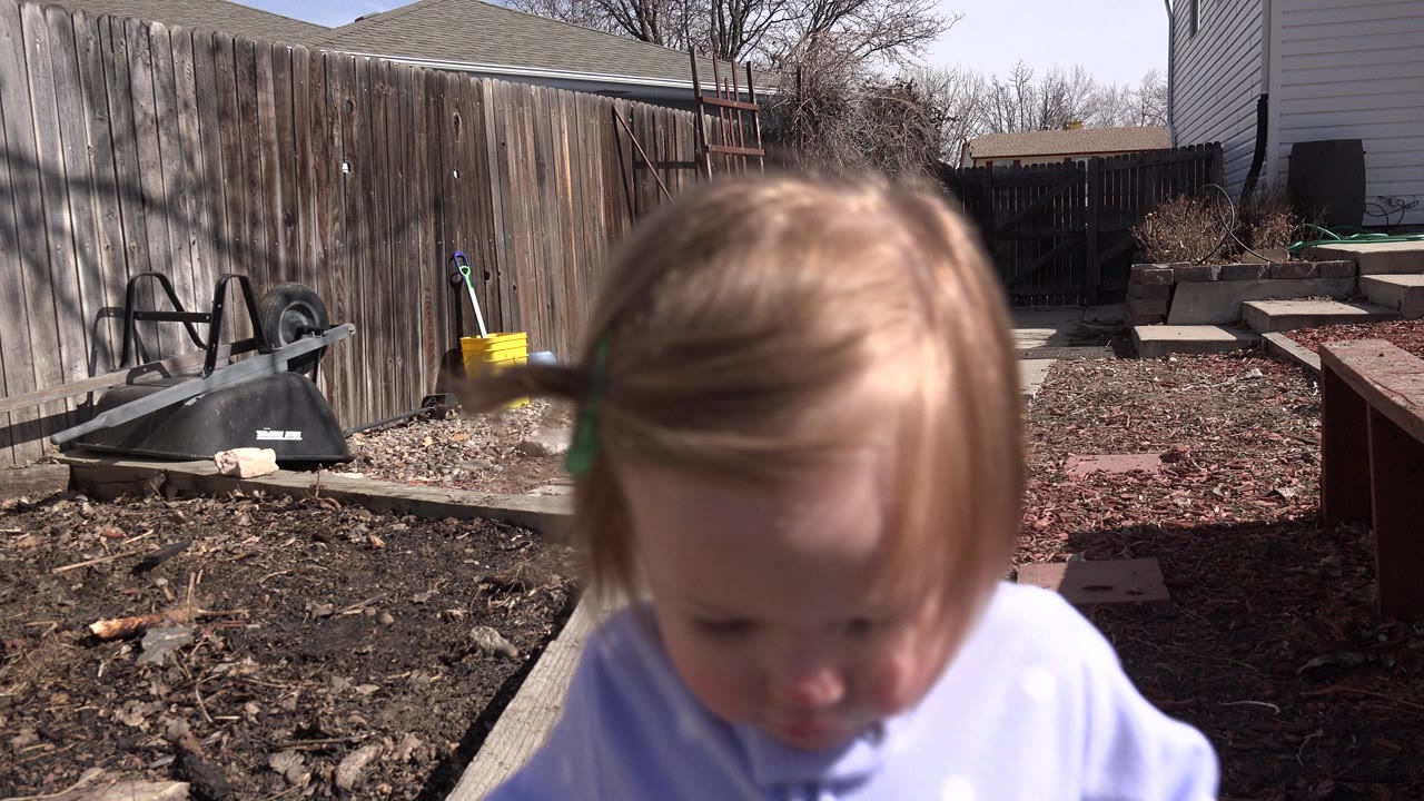Blonde child close to the camera in a fenced backyard.