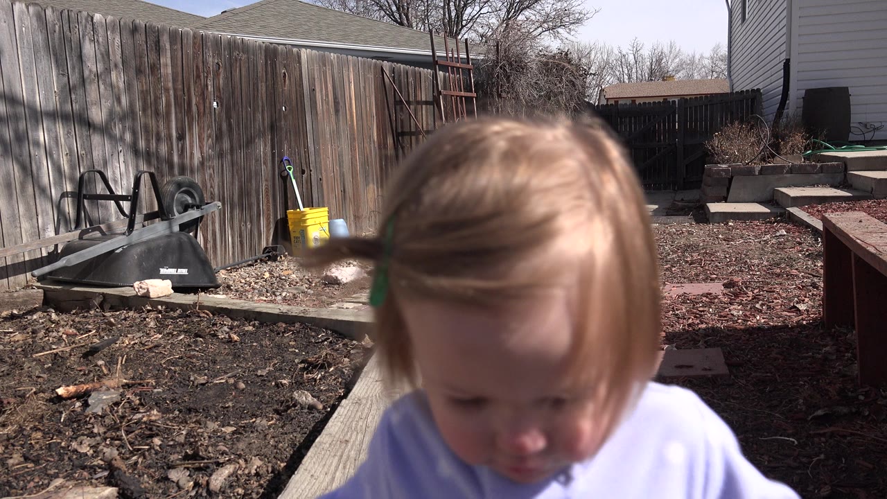 The child looks downward near the foreground while a fenced Westminster backyard, garden bed, yellow bucket, and ladder remain visible in the background.