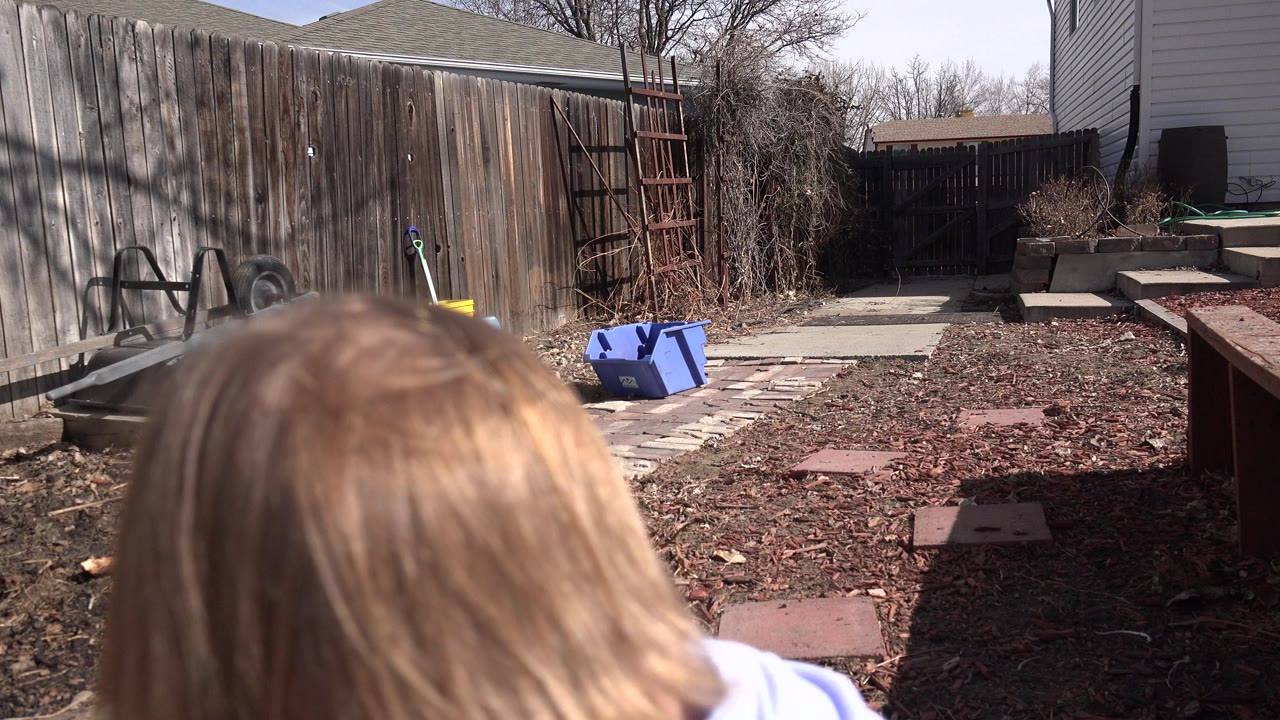 In Westminster, Colorado, the top of a blonde child's head fills the lower foreground as a fenced backyard with mulch, stepping stones, yard tools, and house siding stretches ahead.