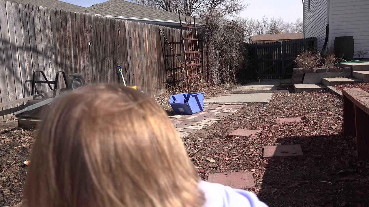In Westminster, Colorado, the child remains close to the low camera with only the head and shoulder area visible, facing a backyard path bordered by a wooden fence, garden debris, and outdoor equipment.
