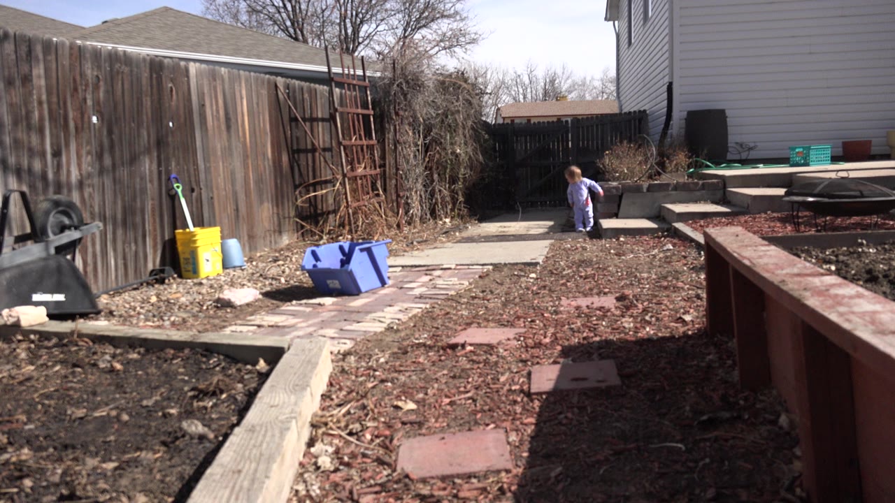 Young child standing in a sunlit backyard near a fence and patio.