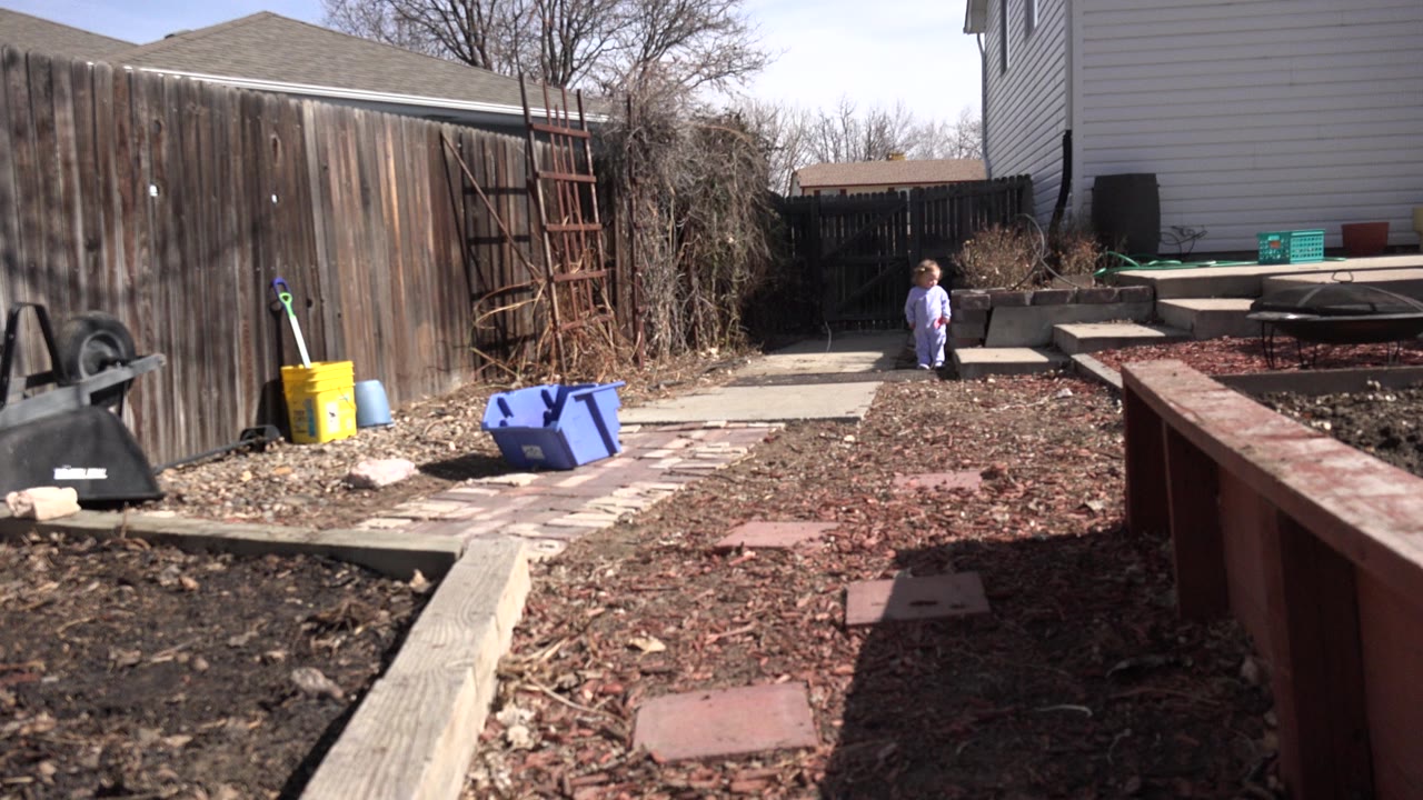 The toddler appears slightly farther along the path in the Westminster backyard, with a blue bin, yellow bucket, ladder, fence, and raised planting beds in view.