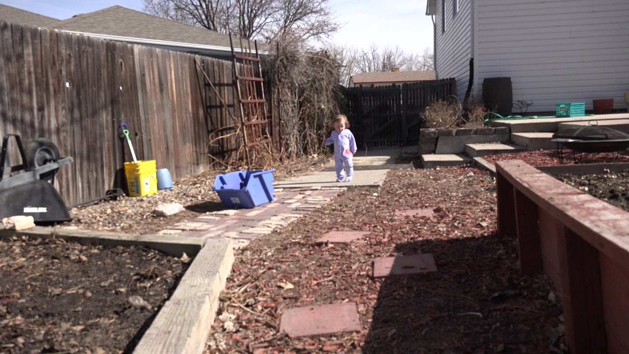 Toddler standing on a backyard stone path near a wooden fence.