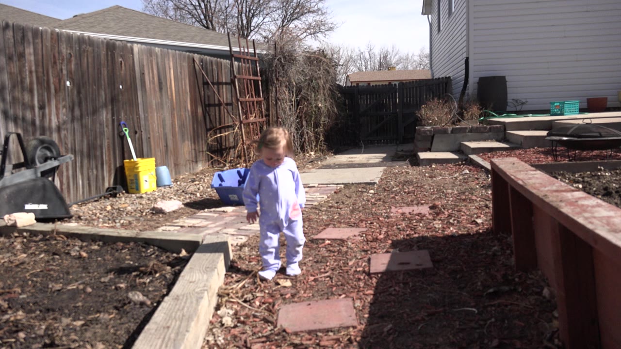 One second in, the child looks toward the ground while walking through the Westminster backyard, with a blue bin and yard tools beside the fence.