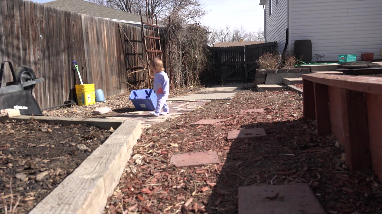 Toddler walking near a blue storage bin in a backyard courtyard.