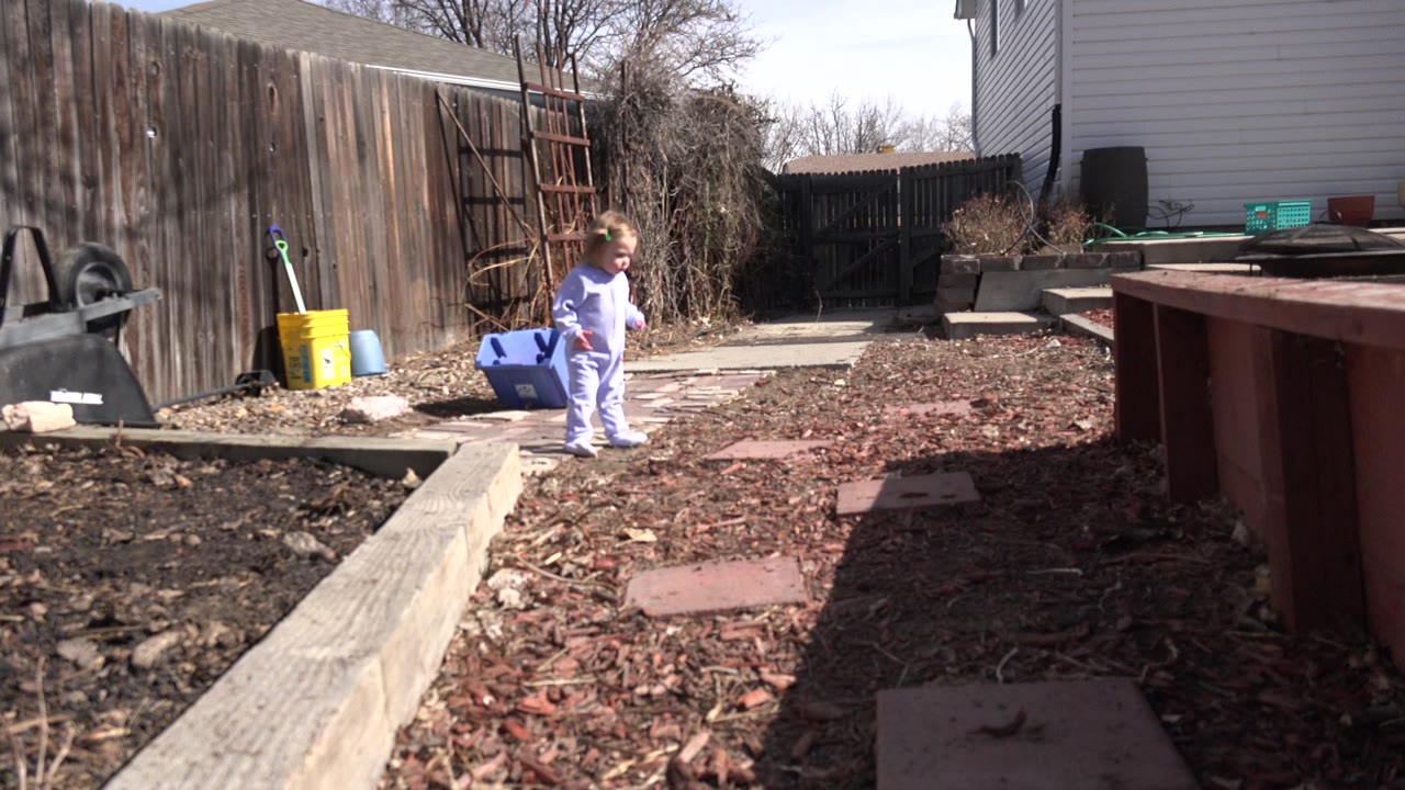 A small child stands in a Westminster, Colorado backyard near a brick path, mulch bed, wooden fence, garden containers, and the side of a house.