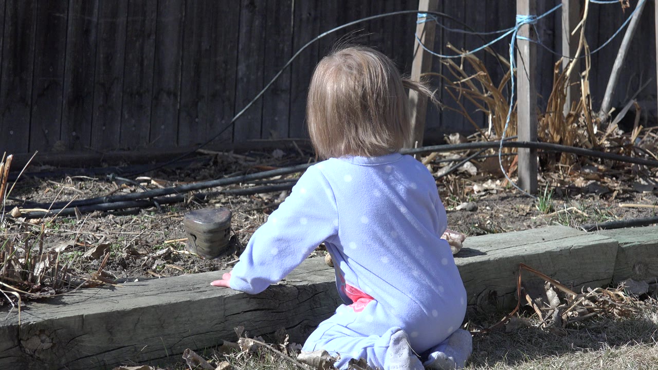 The toddler leans forward slightly near the timber edge of the Westminster backyard garden, with a small black pot visible to the left.