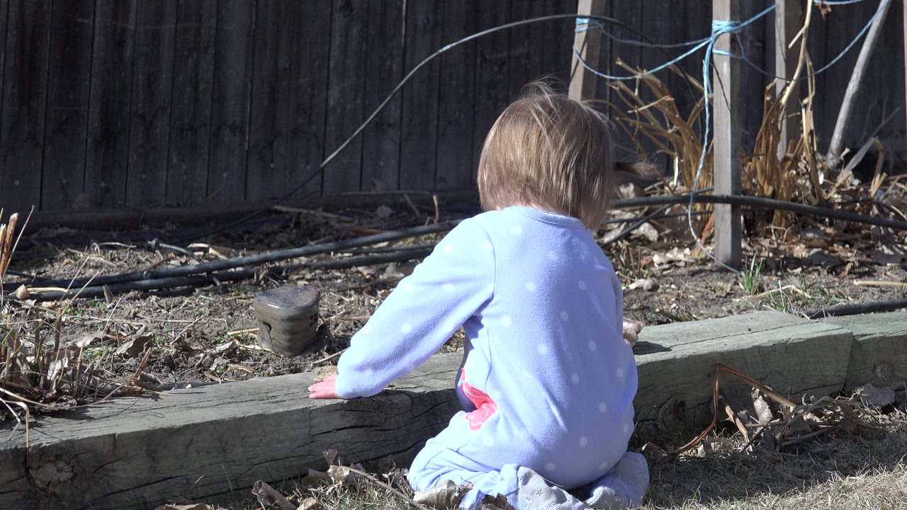 The toddler remains turned away from camera, leaning toward the wood curb in the Westminster yard as sunlight hits her blue outfit and the dry garden bed.