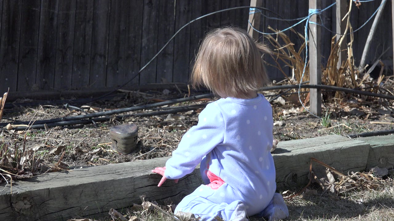 At 0:00 in Westminster, Colorado, a young child in a pale blue outfit sits with their back to camera beside a wooden garden ledge and dark fence.