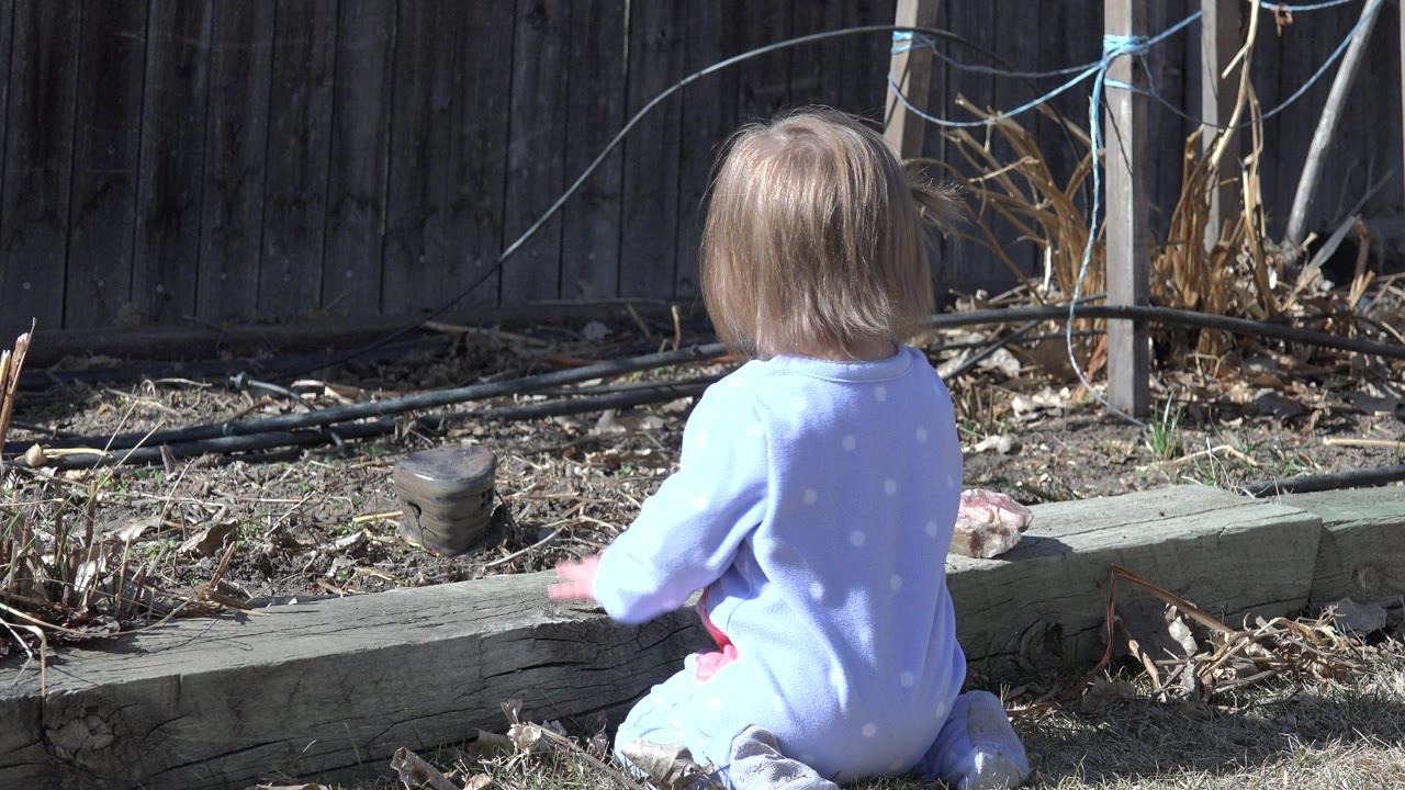 The toddler remains turned away from camera in the Westminster, Colorado yard, reaching toward small rocks and dirt beside the weathered timber curb.