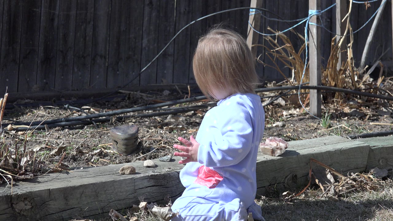 The child remains seated in profile near scattered stones and a raised wooden edge, with bright sun on her clothing and a fenced backyard behind her in Westminster, Colorado.