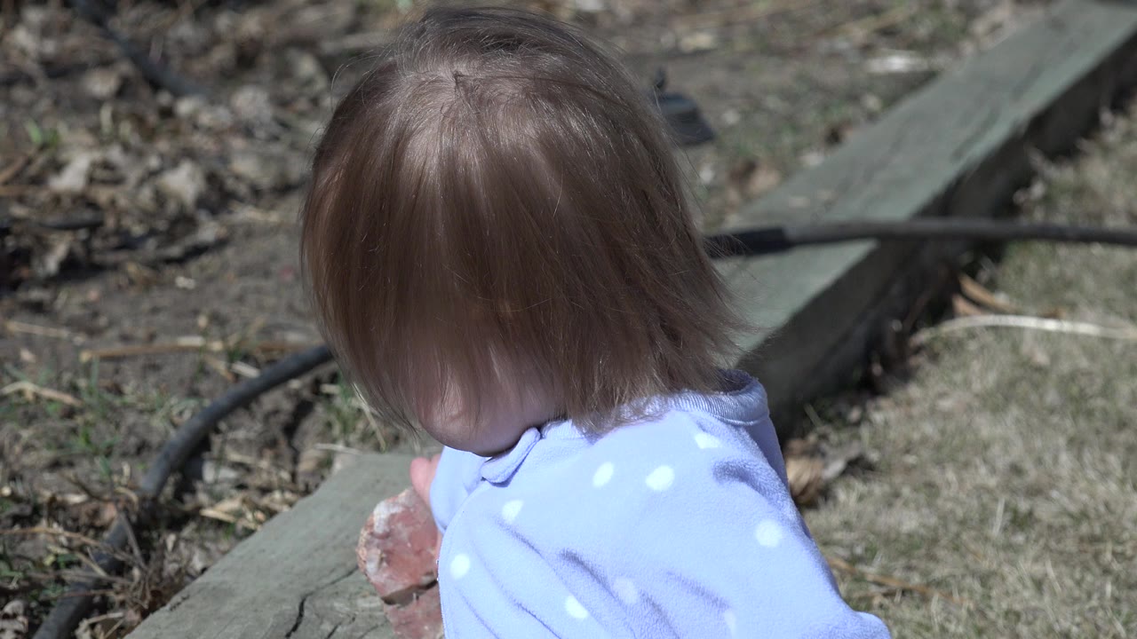 Young child in Westminster, Colorado seen from behind in a blue polka-dot top while holding a stone near dirt, dry grass, a black hose, and wooden edging.