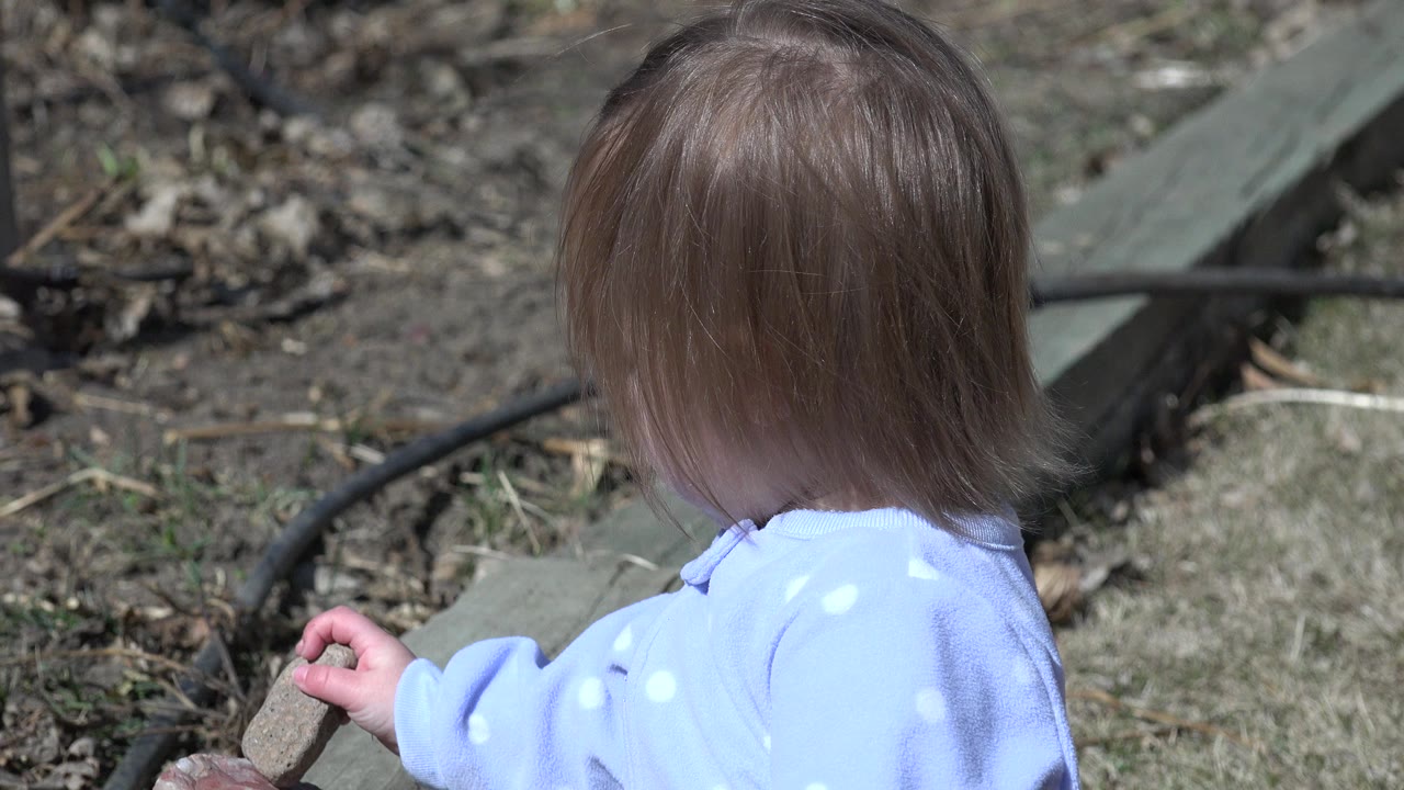 Young child seen from behind in a backyard holding a small object.