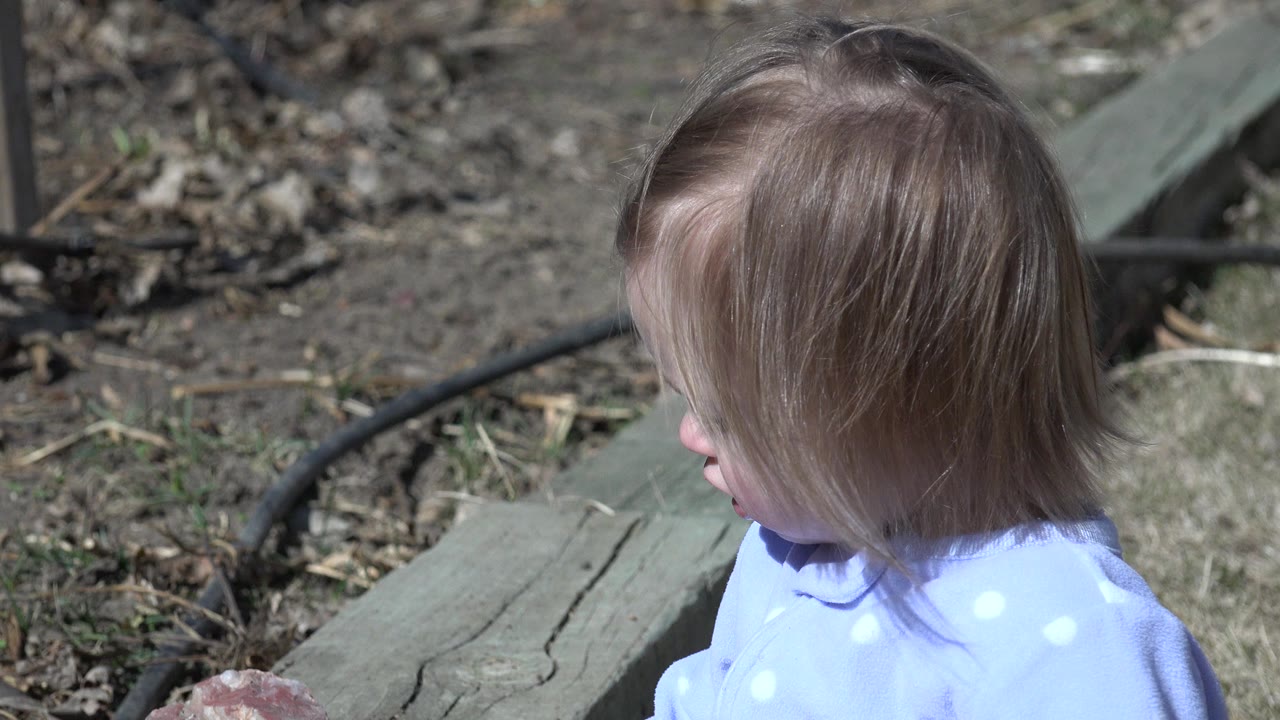 At the start of the Westminster, Colorado clip, a young child in a light blue polka-dot dress faces left near a weathered piece of wood, dry leaves, dirt, and a black hose.