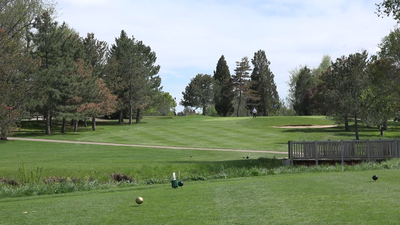 Green park with trees, pond edge, footbridge, tee markers, and a distant person.