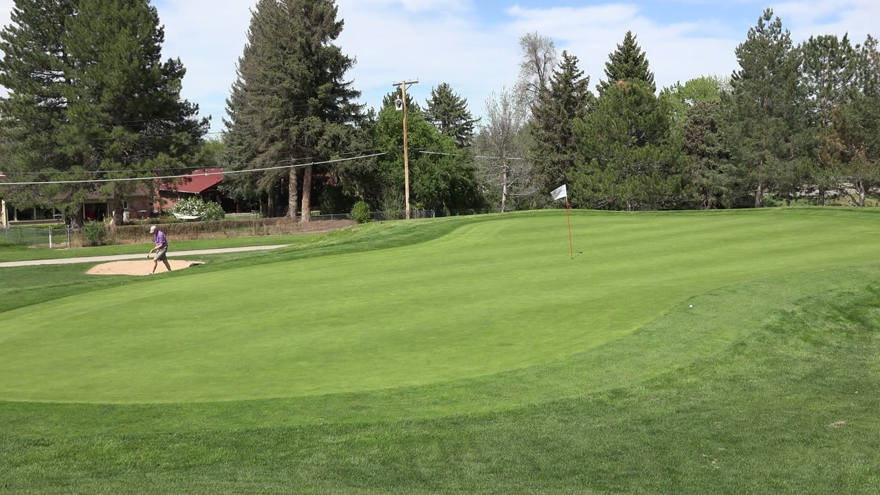 A golfer in Denver remains near the sand bunker as the bright fairway fills the foreground and tall trees line the background.
