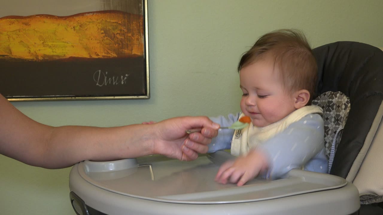 At 0:01 in Westminster, Colorado, the baby leans toward the spoon while one hand reaches across the high-chair tray.